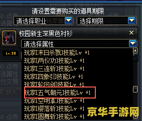 dnf流浪武士觉醒 DNF流浪武士觉醒：剑与荣耀的觉醒之路