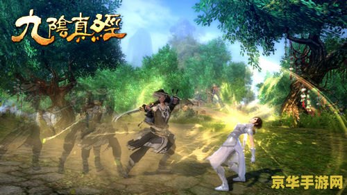九阴真经刷兵录 九阴真经刷兵录：策略与技巧的深度解析