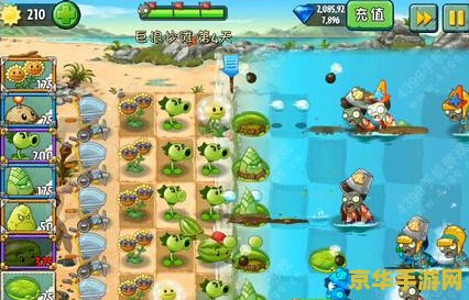 植物大战僵尸2巨浪海滩 植物大战僵尸2：巨浪海滩游戏深度解析