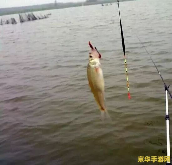 原神钓鱼不上钩怎么办 原神钓鱼技巧大揭秘：不上钩怎么办？