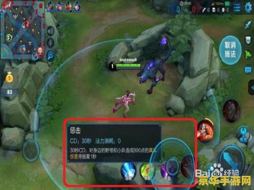 王者荣耀怎么寒冰惩戒 王者荣耀中的寒冰惩戒：策略与技巧