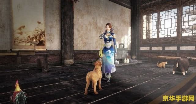 真三国无双6支援兽 真三国无双6中的支援兽：战略与力量的完美结合