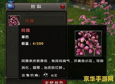九阴真经生活技能 九阴真经生活技能深度解析