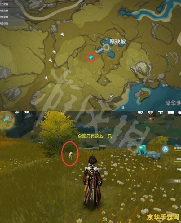 原神动物可以捕捉的在哪 原神中可捕捉动物的地点与技巧