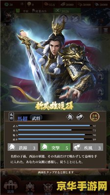 三国志 英雄的黎明 三国志：英雄的黎明游戏深度解析