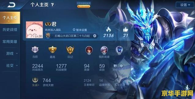 王者荣耀怎么隐藏排名 王者荣耀如何隐藏排名：探索游戏隐私设置与排名机制