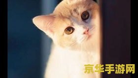 空营洒馆原神地图 空营洒馆：原神地图探索指南