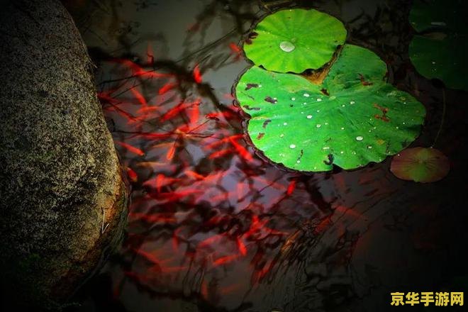 原神单抽出紫意味着什么 原神单抽出紫：运气与策略的双重解读