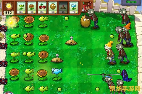 植物大战僵尸waigua 植物大战僵尸外挂揭秘：作弊背后的风险与挑战