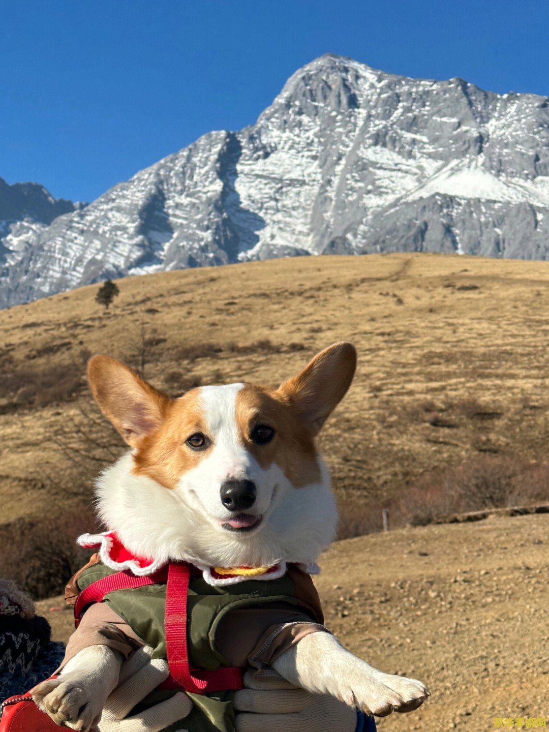 原神雪山石碑分别对应的图案 原神雪山石碑图案解析