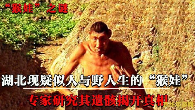 猴子传奇 猴子传奇：丛林之王的崛起