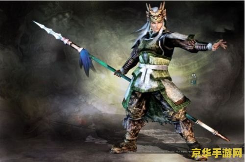 三国无双单机版 三国无双单机版:重温经典,一骑当千! 三国无双单机版 三国无双单机版:重温经典,一骑当千!