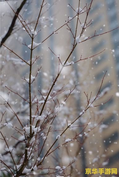 原神寻访云蒸奇遇记怎么激活 原神寻访云蒸奇遇记：激活步骤与深度解析