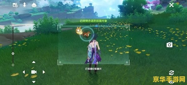 原神稻妻拍照任务怎么拍 原神稻妻拍照任务攻略