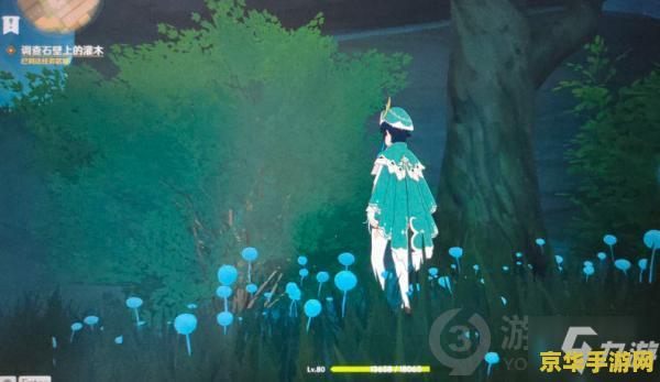 原神 调查石壁上的 原神石壁之谜深度解析