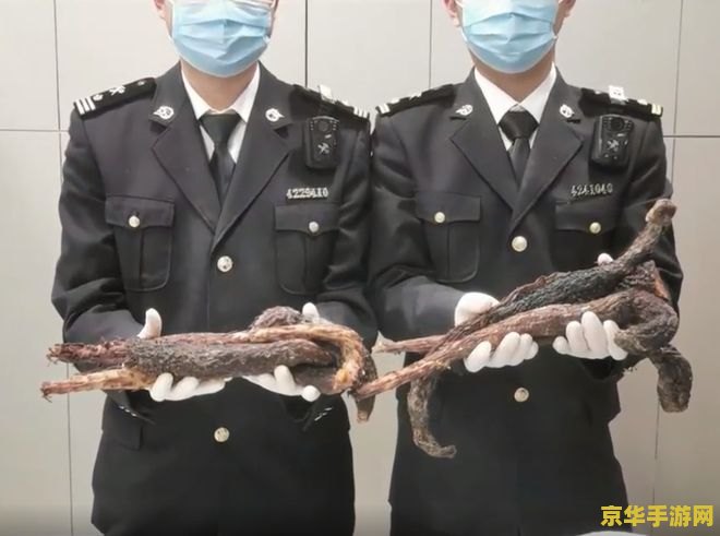 原神植物学家克罗莉丝在哪 原神中的植物学家克罗莉丝：探索与自然的和谐共生