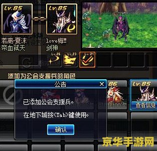 dnf支援兵技能 dnf支援兵技能深度解析