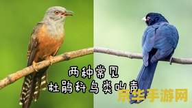 原神善见地树王圣体菇 原神善见地树王圣体菇：探索神秘世界的珍稀宝藏