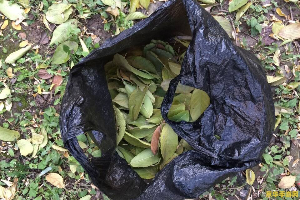 原神善见地树王圣体菇 原神善见地树王圣体菇：探索神秘世界的珍稀宝藏