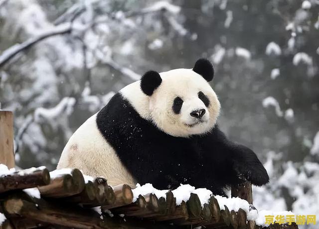 原神中如何沿着水流寻找邪气的源头 原神探秘：循水追踪，揭秘邪气之源