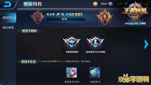 王者荣耀充贵族怎么充 王者荣耀贵族特权充值指南