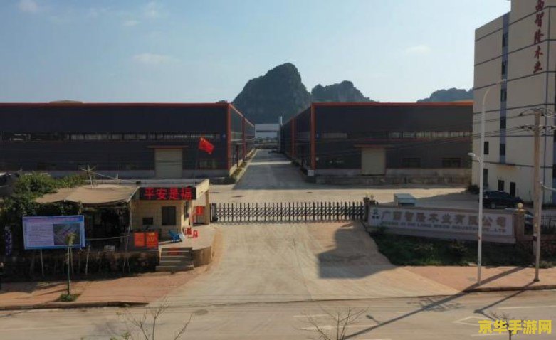 战地2补丁 战地2补丁深度解析：增强游戏体验的关键要素