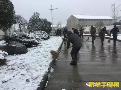 迷你寒冰虎 迷你寒冰虎：掌中冰雪奇缘，探索无尽冒险