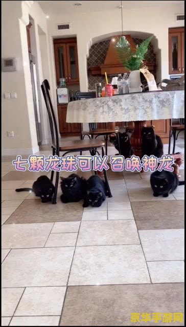 cs七龙珠怎么召唤神龙 CS七龙珠如何召唤神龙？