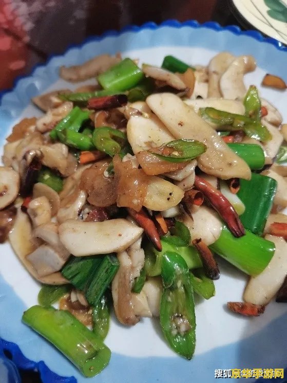 psp不可饶恕 PSP不可饶恕：探索掌机时代的经典与遗憾