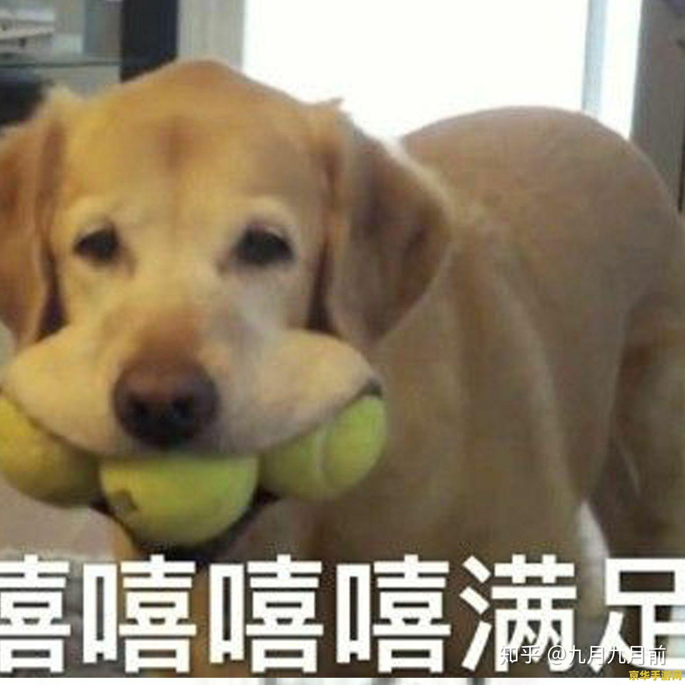 qq飞车沙暴 QQ飞车沙暴：极速沙海中的竞技风暴