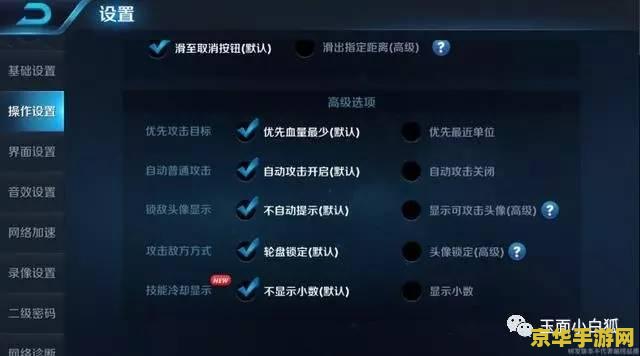 王者荣耀怎么说进攻谁 王者荣耀进攻策略解析：如何精准指挥团队攻击目标