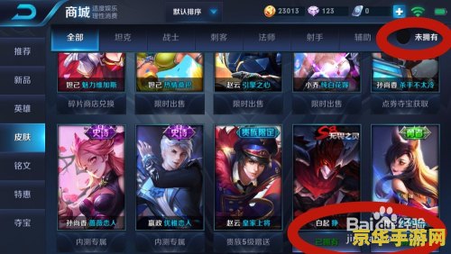 王者荣耀怎么看别人的皮肤 王者荣耀中如何查看他人皮肤？