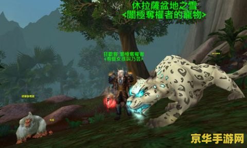 诺森德灵魂兽 诺森德灵魂兽：探索魔兽世界中的神秘生物