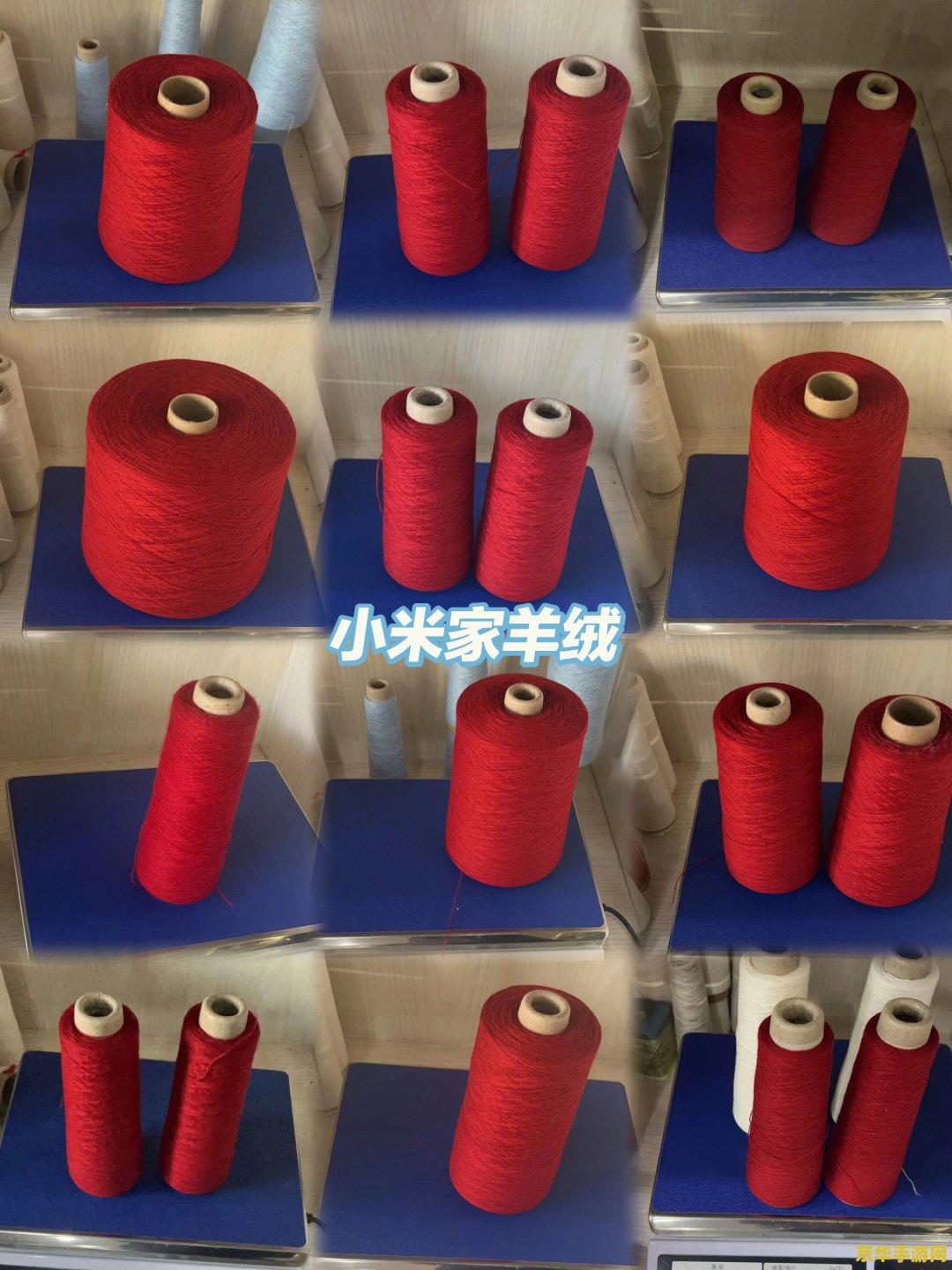 羊了个羊有什么规律 羊了个羊：揭秘背后的规律与奥秘