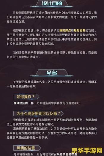 王者荣耀怎么占视野 王者荣耀视野控制攻略：如何有效占据视野优势