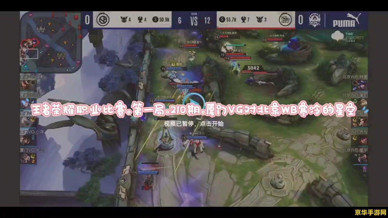 王者荣耀职业怎么比赛视频 王者荣耀职业赛事解析：荣耀之战的幕后与台前