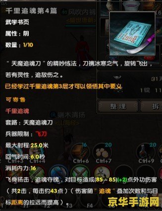 九阴真经天魔追魂刀 九阴真经天魔追魂刀：武侠世界中的绝世刀法