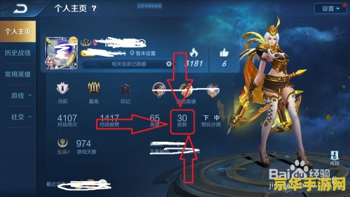 王者荣耀怎么查自己的皮肤 王者荣耀如何查看自己的皮肤收藏？