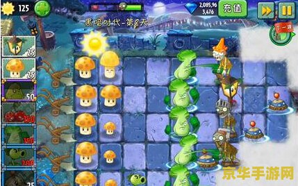植物大战僵尸2黑暗时代 植物大战僵尸2：黑暗时代的挑战与策略