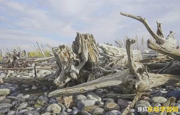 变相怪杰无敌版 变相怪杰：无敌版游戏深度解析