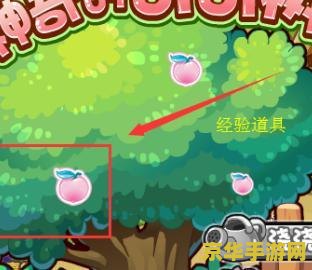 洛克王国 宠物 洛克王国中的宠物系统深度解析