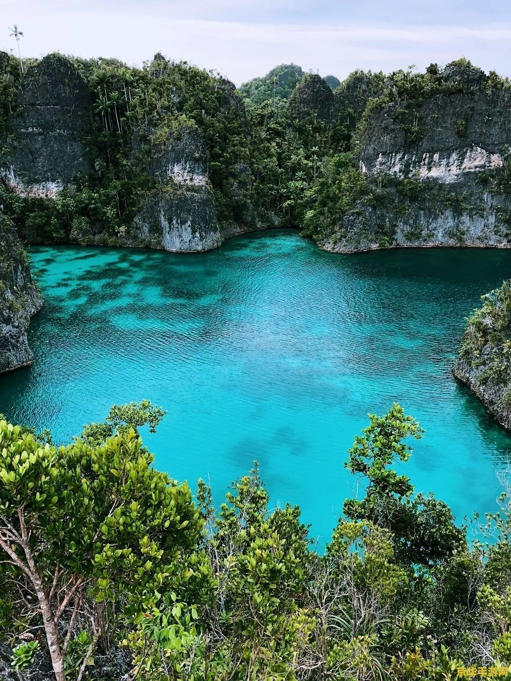 原神钓鱼散落的书页 原神钓鱼散落的书页:探索与收集的奇妙之旅 原神钓鱼散落的书页 原神钓鱼散落的书页:探索与收集的奇妙之旅