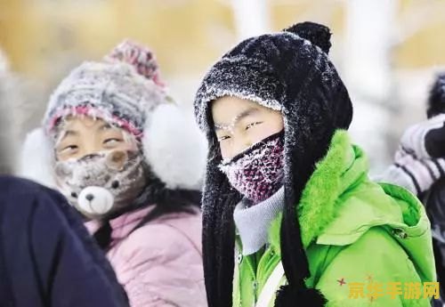 洛克王国冰龙宝宝 洛克王国冰龙宝宝：冰霜之力的传承者