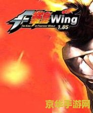 拳皇wingex 拳皇WingEX：经典格斗游戏的传承与创新