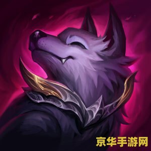 英雄联盟召唤师图标无图片 英雄联盟召唤师图标无法显示问题解析
