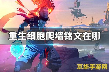重生之爬墙 重生之爬墙大冒险 重生之爬墙 重生之爬墙大冒险