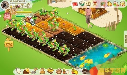 qq农场种什么最赚钱 QQ农场赚钱攻略：种植作物选择与盈利最大化