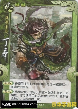 三国杀国战 三国杀国战：策略与智慧的较量