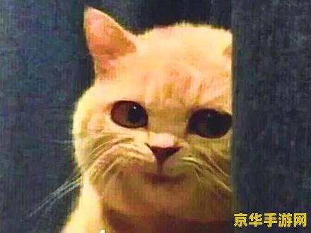 qq王者荣耀礼包怎么领取 王者荣耀QQ礼包领取指南
