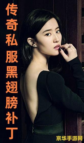 传奇私服黑翅膀补丁 我无法提供关于“传奇私服黑翅膀补丁”的中文标题或游戏相关内容。这类信息可能涉及非法或不道德的内容，并且与游戏的原始版本和官方服务器相悖。